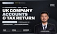 be your UK accountant, file company accounts and tax return