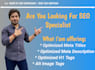write meta tags, titles, descriptions, image alt for on page SEO