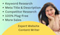 write best SEO website content, professional web copywriter