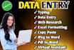 do data entry, copypaste, excel, clean your excel database