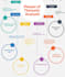 provide qualitative analysis using atlas ti or nvivo