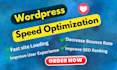 do website improvement or wordpress speed optimization for you