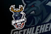 create awesome sport teams logo design