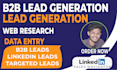 do b2b lead generation and data entry