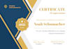 do stunning certificate design award diploma certificate