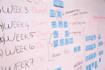 provide project management services