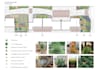 create landscape planting plan