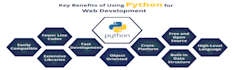 work with python programming language