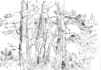 draw the background art in black and white