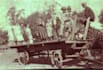 research your family tree