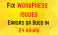 fix wordpress wesbite issues errors and bugs in 24 hours
