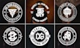design, edit, redo, resize your logo in vector