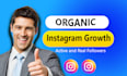 do instagram marketing for fast organic growth