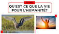 vous presente la vie comme une entitee pour tout vos besoin