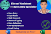 do data entry just in a day