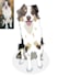 draw your animal pets illustration