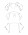draw the pet ears in 24 hours