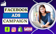 be your facebook ads campaign manager