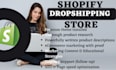 build shopify dropshipping store, branded shopify dropsipping store or website