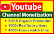do organic video promotion for youtube channel monetization