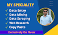 do fastest data entry, copy paste, excel data entry, web research, data mining