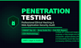 perform professional penetration testing, and web application security audit