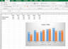 do microsoft office word and excel projects