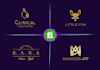 create a professional logo design
