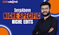 do curated link insertion on indexed aged posts with niche backlinks