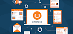 do umbraco website, fixes, customization and upgrade