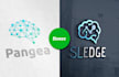 design a nice mind, ai, mental, neuro, brain logo design
