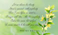 create creative poetry  love letter for you of any occasion