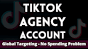 help with tiktok ads agency account