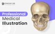 draw professional anatomy illustrations