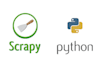 web scrapping with python