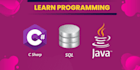 be your c sharp, winform, java and sql tutor