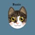 let me illustrate your pet