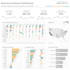 create a beautiful, impactful, and intuitive tableau dashboard