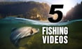 make 5 fishing logo intro video
