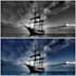 colorize black and white photo