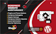 do monthly wordpress maintenance and support