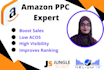 assist you in amazon PPC management and PPC optimization, PPC VA