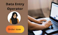 do data entry and copy paste job