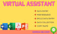 be best virtual assistant for data entry and web research
