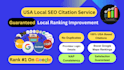 do top 20, 50 and 100 USA local citation service
