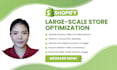 update and optimize your shopify store and products