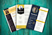 design your professional resume, and CV in PDF or ms word format