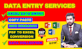 do excel data entry, copy paste, web research, and email list building