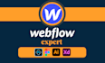 develop a responsive webflow website from figma or adobe xd