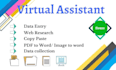 be your virtual assistant for web research and data entry